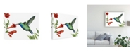 Trademark Global Grace Popp Hummingbird and Flower I Canvas Art - 37" x 49"
